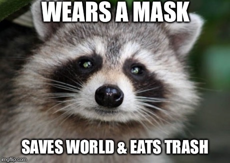 Raccoon Avenger  | WEARS A MASK SAVES WORLD & EATS TRASH | image tagged in superheroes | made w/ Imgflip meme maker