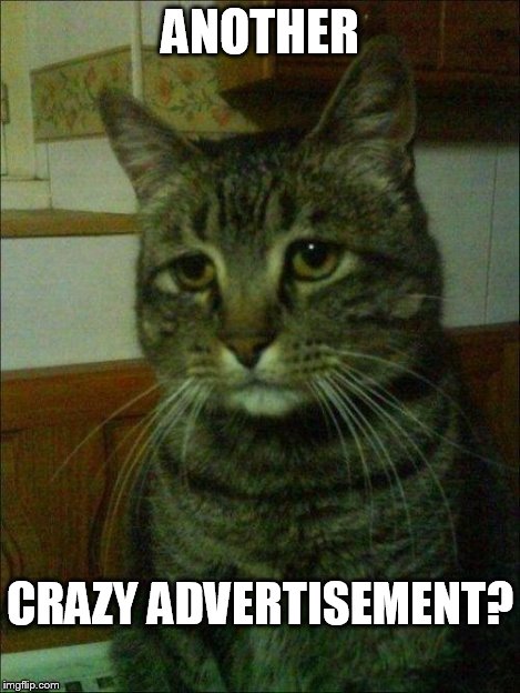 depressed cat | ANOTHER CRAZY ADVERTISEMENT? | image tagged in depressed cat | made w/ Imgflip meme maker