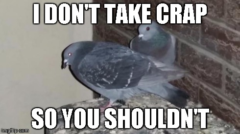 I DON'T TAKE CRAP SO YOU SHOULDN'T | image tagged in pigeons | made w/ Imgflip meme maker