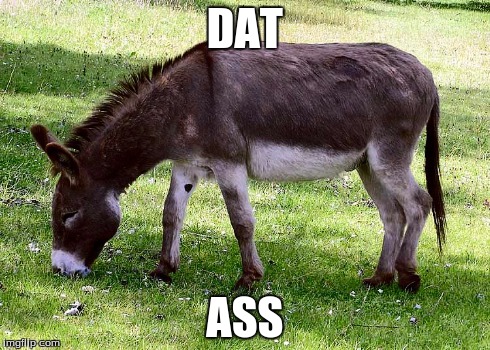 Dat ass doe... | DAT ASS | image tagged in dat ass,donkey,animals,memes | made w/ Imgflip meme maker
