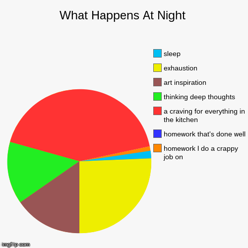 What happens at night | image tagged in pie charts,night,food,artistic,homework,tired | made w/ Imgflip chart maker