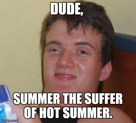 10 Guy Meme | DUDE, SUMMER THE SUFFER OF HOT SUMMER. | image tagged in memes,10 guy | made w/ Imgflip meme maker