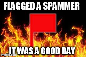 fireflag | FLAGGED A SPAMMER IT WAS A GOOD DAY | image tagged in fireflag | made w/ Imgflip meme maker