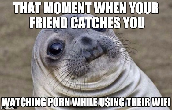 Awkward Moment Sealion Meme | THAT MOMENT WHEN YOUR FRIEND CATCHES YOU WATCHING PORN WHILE USING THEIR WIFI | image tagged in memes,awkward moment sealion | made w/ Imgflip meme maker