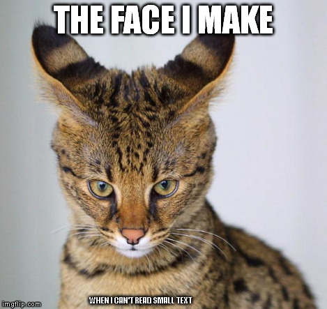 Savannah Cat - young | THE FACE I MAKE WHEN I CAN'T READ SMALL TEXT | image tagged in savannah cat - young | made w/ Imgflip meme maker