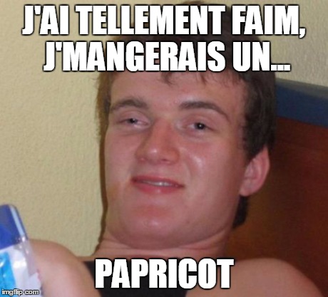 10 Guy Meme | J'AI TELLEMENT FAIM, J'MANGERAIS UN... PAPRICOT | image tagged in memes,10 guy | made w/ Imgflip meme maker