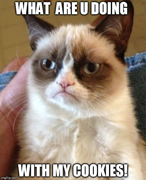 Grumpy Cat Meme | WHAT  ARE U DOING WITH MY COOKIES! | image tagged in memes,grumpy cat | made w/ Imgflip meme maker