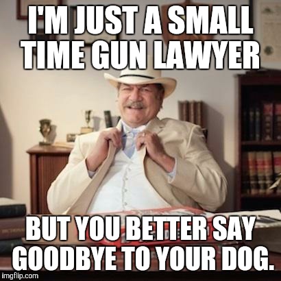 Small Town Pizza Lawyer | I'M JUST A SMALL TIME GUN LAWYER BUT YOU BETTER SAY GOODBYE TO YOUR DOG. | image tagged in small town pizza lawyer | made w/ Imgflip meme maker