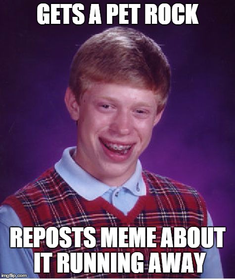 Bad Luck Brian | GETS A PET ROCK REPOSTS MEME ABOUT IT RUNNING AWAY | image tagged in memes,bad luck brian | made w/ Imgflip meme maker