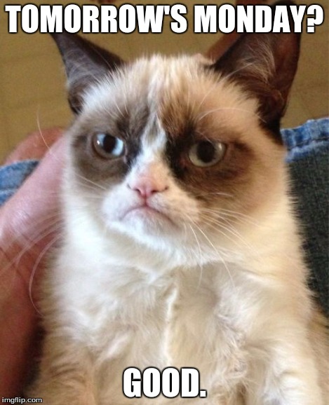 Grumpy Cat Meme | TOMORROW'S MONDAY? GOOD. | image tagged in memes,grumpy cat | made w/ Imgflip meme maker