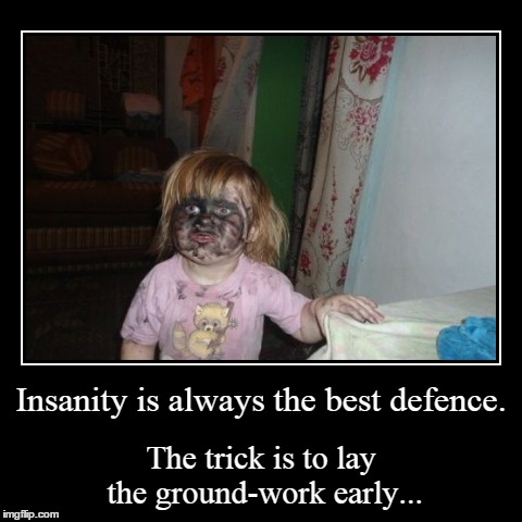 Insanity | image tagged in funny,demotivationals | made w/ Imgflip demotivational maker