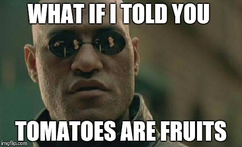 Matrix Morpheus Meme | WHAT IF I TOLD YOU TOMATOES ARE FRUITS | image tagged in memes,matrix morpheus | made w/ Imgflip meme maker