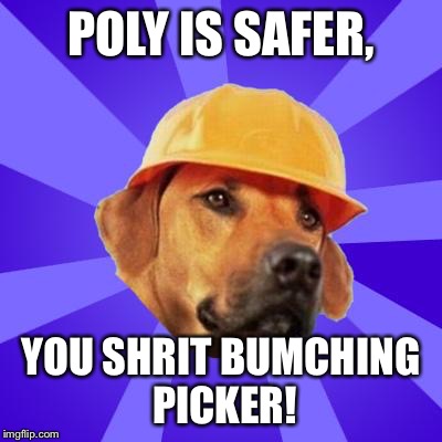 safety hound | POLY IS SAFER, YOU SHRIT BUMCHING PICKER! | image tagged in safety hound | made w/ Imgflip meme maker