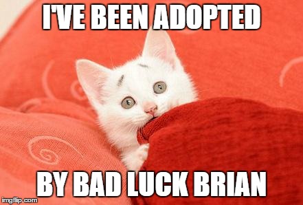 Concerned Cat | I'VE BEEN ADOPTED BY BAD LUCK BRIAN | image tagged in concerned cat,memes,original meme,bad luck brian | made w/ Imgflip meme maker