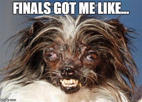 FINALS GOT ME LIKE... | image tagged in finals got me like | made w/ Imgflip meme maker