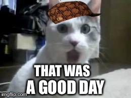 omg cat 2 | THAT WAS A GOOD DAY | image tagged in omg cat 2,scumbag | made w/ Imgflip meme maker