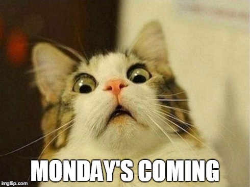 Scared Cat | MONDAY'S COMING | image tagged in memes,scared cat | made w/ Imgflip meme maker