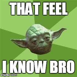 Yoda | THAT FEEL I KNOW BRO | image tagged in yoda | made w/ Imgflip meme maker