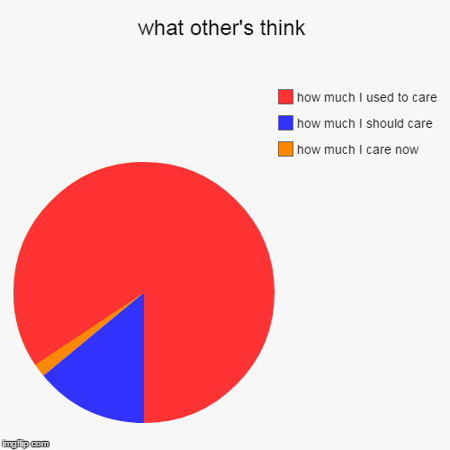 image tagged in pie charts,life,imgflip,funny | made w/ Imgflip chart maker