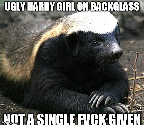 Honey badger | UGLY HARRY GIRL ON BACKGLASS NOT A SINGLE FVCK GIVEN | image tagged in honey badger | made w/ Imgflip meme maker