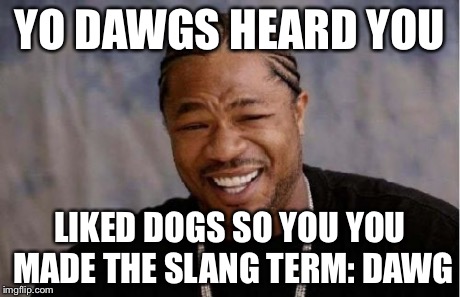 Yo Dawg Heard You Meme | YO DAWGS HEARD YOU LIKED DOGS SO YOU YOU MADE THE SLANG TERM: DAWG | image tagged in memes,yo dawg heard you | made w/ Imgflip meme maker