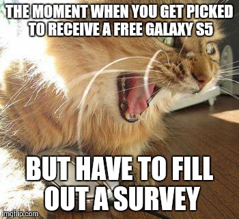 angry cat | THE MOMENT WHEN YOU GET PICKED TO RECEIVE A FREE GALAXY S5 BUT HAVE TO FILL OUT A SURVEY | image tagged in angry cat | made w/ Imgflip meme maker