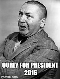 Curly For President | CURLY FOR PRESIDENT 2016 | image tagged in memes,curley | made w/ Imgflip meme maker