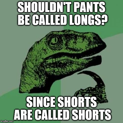 Hmmmm? | SHOULDN'T PANTS BE CALLED LONGS? SINCE SHORTS ARE CALLED SHORTS | image tagged in memes,philosoraptor,shorts,pants,question everything | made w/ Imgflip meme maker