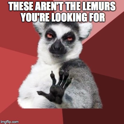 Chill Out Lemur Meme | THESE AREN'T THE LEMURS YOU'RE LOOKING FOR | image tagged in memes,chill out lemur | made w/ Imgflip meme maker