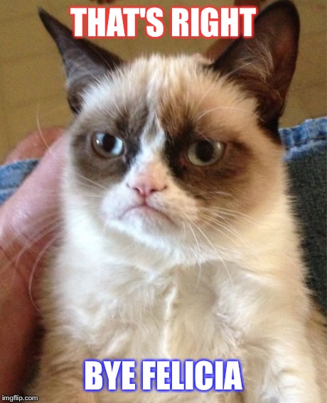 Grumpy Cat | THAT'S RIGHT BYE FELICIA | image tagged in memes,grumpy cat | made w/ Imgflip meme maker