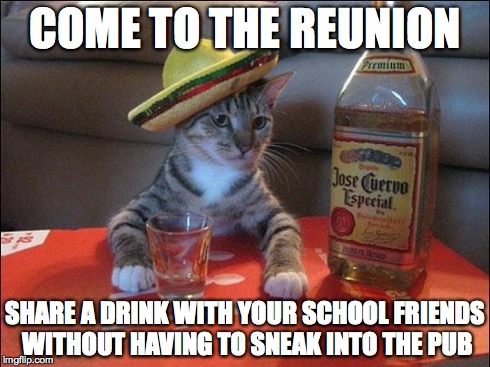 partycat | COME TO THE REUNION SHARE A DRINK WITH YOUR SCHOOL FRIENDS WITHOUT HAVING TO SNEAK INTO THE PUB | image tagged in partycat | made w/ Imgflip meme maker