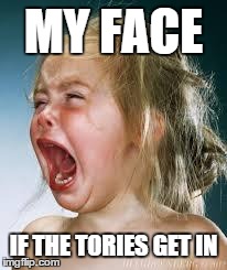 Crying Baby | MY FACE IF THE TORIES GET IN | image tagged in crying baby | made w/ Imgflip meme maker