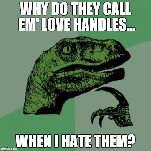 Philosoraptor Meme | WHY DO THEY CALL EM' LOVE HANDLES... WHEN I HATE THEM? | image tagged in memes,philosoraptor | made w/ Imgflip meme maker
