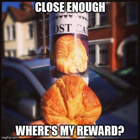 image tagged in funny,signs/billboards,cats | made w/ Imgflip meme maker