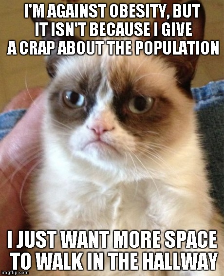 Grumpy Cat | I'M AGAINST OBESITY, BUT IT ISN'T BECAUSE I GIVE A CRAP ABOUT THE POPULATION I JUST WANT MORE SPACE TO WALK IN THE HALLWAY | image tagged in memes,grumpy cat | made w/ Imgflip meme maker