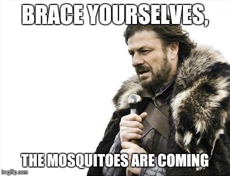 Brace Yourselves X is Coming | BRACE YOURSELVES, THE MOSQUITOES ARE COMING | image tagged in memes,brace yourselves x is coming,funny,summer,bugs,funny memes | made w/ Imgflip meme maker