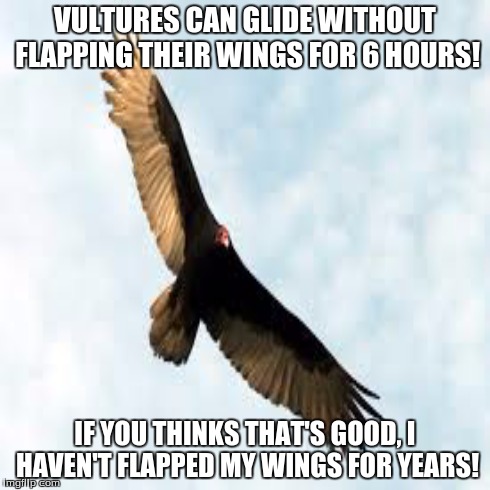 If You Think That's Good | VULTURES CAN GLIDE WITHOUT FLAPPING THEIR WINGS FOR 6 HOURS! IF YOU THINKS THAT'S GOOD, I HAVEN'T FLAPPED MY WINGS FOR YEARS! | image tagged in memes | made w/ Imgflip meme maker