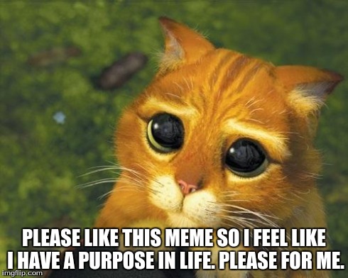 PLEASE LIKE THIS MEME SO I FEEL LIKE I HAVE A PURPOSE IN LIFE. PLEASE FOR ME. | image tagged in sad cat | made w/ Imgflip meme maker