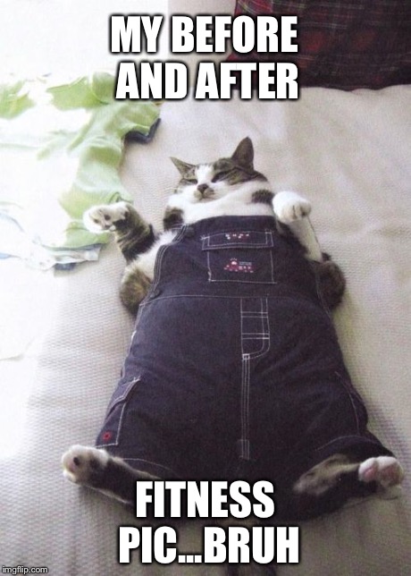 Fat Cat Meme | MY BEFORE AND AFTER FITNESS PIC...BRUH | image tagged in memes,fat cat | made w/ Imgflip meme maker