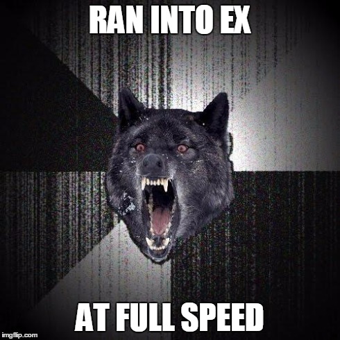 Insanity Wolf | RAN INTO EX AT FULL SPEED | image tagged in memes,insanity wolf | made w/ Imgflip meme maker
