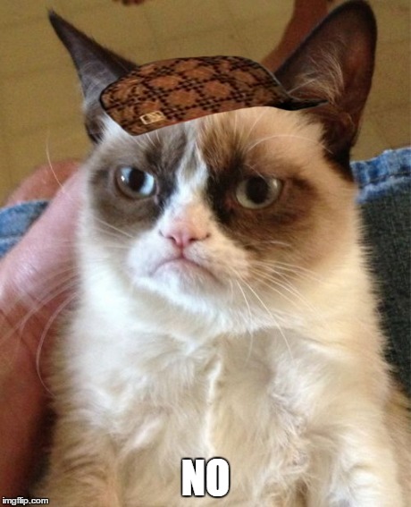 Grumpy Cat Meme | NO | image tagged in memes,grumpy cat,scumbag | made w/ Imgflip meme maker