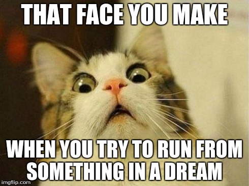 Scared Cat Meme | THAT FACE YOU MAKE WHEN YOU TRY TO RUN FROM SOMETHING IN A DREAM | image tagged in memes,scared cat | made w/ Imgflip meme maker