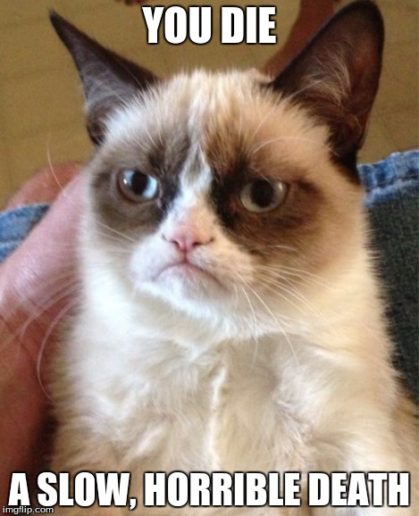 Grumpy Cat Meme | YOU DIE A SLOW, HORRIBLE DEATH | image tagged in memes,grumpy cat | made w/ Imgflip meme maker