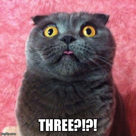 astonished cat | THREE?!?! | image tagged in astonished cat | made w/ Imgflip meme maker