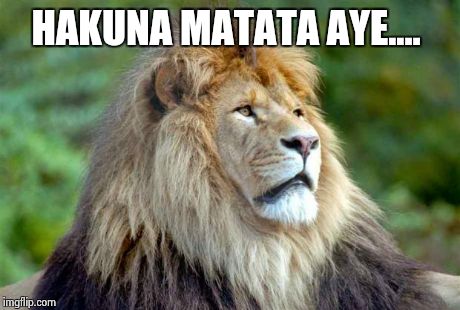 Lion | HAKUNA MATATA AYE.... | image tagged in lion | made w/ Imgflip meme maker