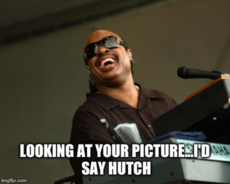 LOOKING AT YOUR PICTURE...I'D SAY HUTCH | made w/ Imgflip meme maker