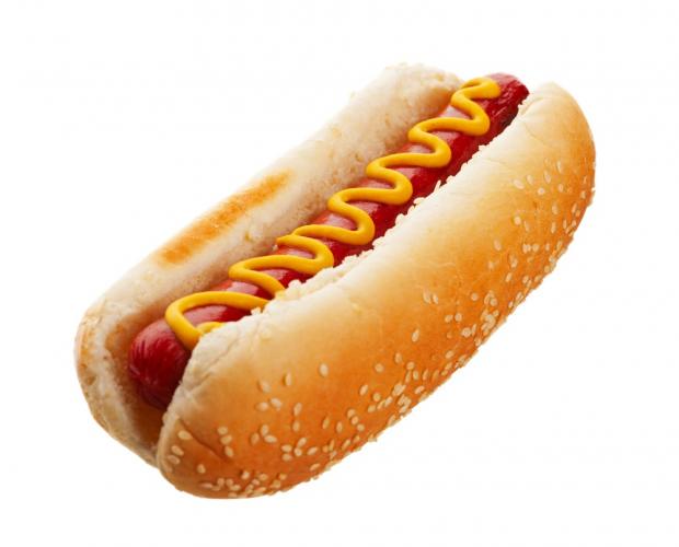 High Quality Hot dog  Blank Meme Template