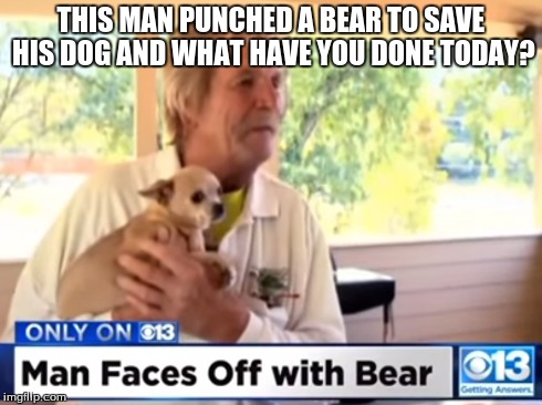 Wow... | THIS MAN PUNCHED A BEAR TO SAVE HIS DOG AND WHAT HAVE YOU DONE TODAY? | image tagged in memes,crazy,dogs,wtf | made w/ Imgflip meme maker