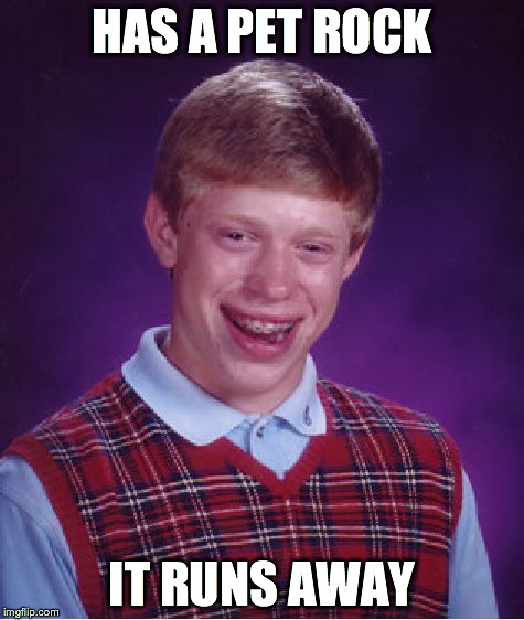 Bad Luck Brian Meme | HAS A PET ROCK IT RUNS AWAY | image tagged in memes,bad luck brian | made w/ Imgflip meme maker
