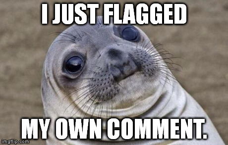 Awkward Moment Sealion | I JUST FLAGGED MY OWN COMMENT. | image tagged in memes,awkward moment sealion | made w/ Imgflip meme maker